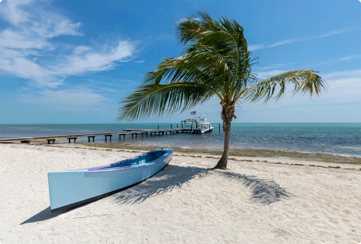 Tropical beach with canoe, palm tree and jetty.